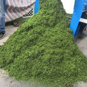 1.45*0.87*2.2m 15kw 0.3T/H Tree Branch Shredder