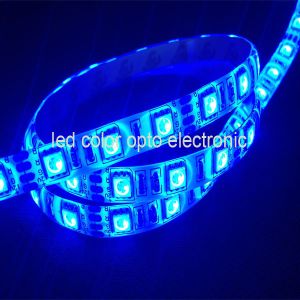 high brightness 5050 60led/m flexible led strip