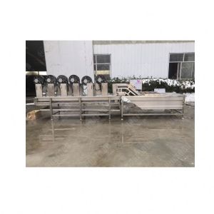 Automatic Fruit and Vegetable Wool Roller Bubble Cleaning and Drying Production