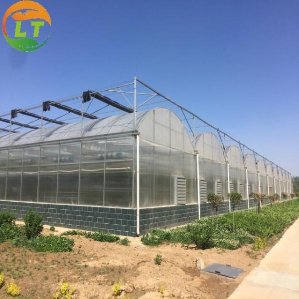 Quality Vegetables Growing Multi-span Film Greenhouse 3m Height with Hot-dip Galvanized Pipe wholesale