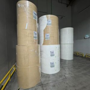 China Greaseproof and Water Resistant PE Coated Paper Roll for Frozen Food Packaging Custom Sizes Available on sale