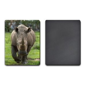 PET / PP Lenticular 3D Coolest Fridge Magnets Heidelberg Machine Printing