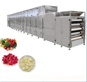Versatile Fruits Drying Machine with 10-20kg/Kw.H Sterilizing Capability Voltage