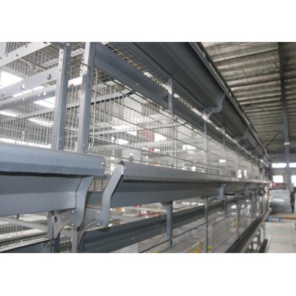 Quality Large Scale Modern Stackable Chicken Cages / Open House Battery Cage System wholesale
