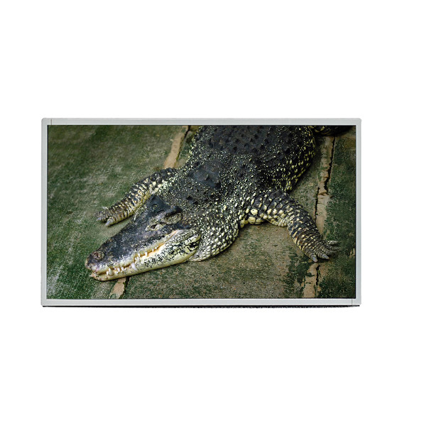 AUO 19.5 inch Panel M195RTN01.0 LVDS Interface 1600X900 TFT LCD Display Screen