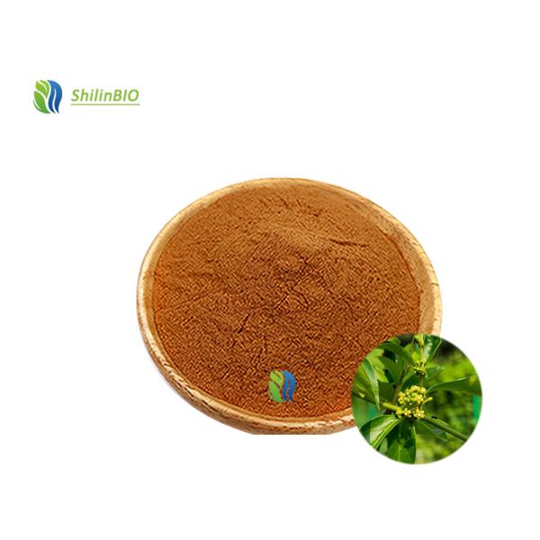 Quality Factory Wholesale Gymnema Sylvestre Leaf Extract 25% 75% Gymnemic Acid Powder wholesale