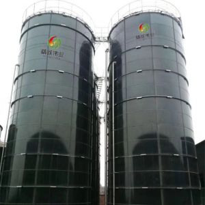 Renewable Biogas Plant Project with Online Technical Services