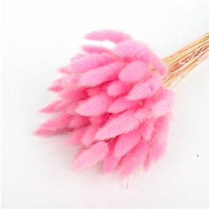 Home Decoration Beautiful Dried Flowers Rabbit Tail Grass Custom Color