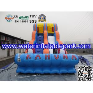 Inflatable Water Slide For Amusement Park / Inflatable Pool Slide