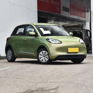 Wuling Bingguo EV Electric Vehicle 4 Seater compact SUV 203KM