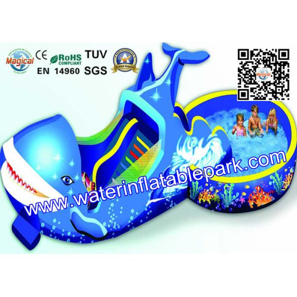 Quality Summer Ultimate Amusement  Dolphin Water Park  With swimming Pool wholesale