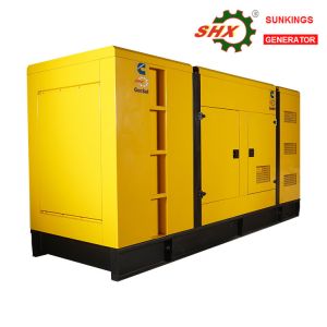 China 10-300W Diesel Generator For Papua New Guinea Distributor on sale