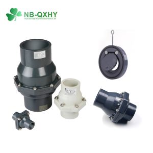 Pn10 200psi PVC Wafer Check Valve with Customized Request Option