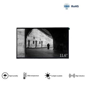 11.6 Inch Full HD Panel 1920x1080 LCD TFT Panels With 30 PIN EDP Interface
