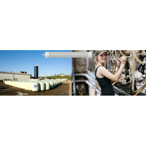 Factory Price Plastic Alu. Ik10 IP69K 0~10V Dim CCT Power Adjustable 170lm/W 1.6m Anti-Ammonia Chicken Farmyard Livestock LED Sheep Cow Diary Tri-Proof Light