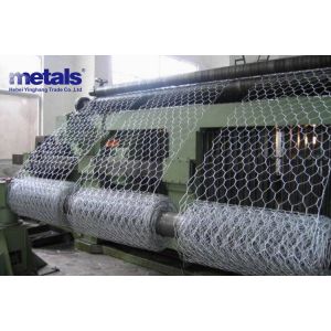 Hot Dipped Galvanized Hexagonal Wire Mesh 0.5mm for Poultry Farming