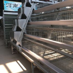 A Type Battery Hens Layer Chicken Cage Automatic Poultry Farm Equipment