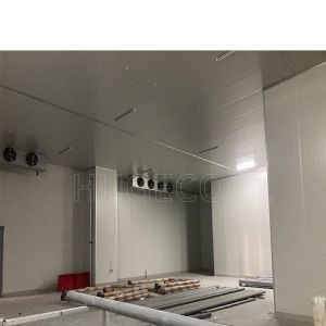 Customization Commercial Cooling System for Fish Fruit Vegetable Storage Freezer