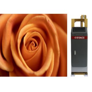 1.4m Zkmc Wall Painting Printer 2880dpi 3d Foldable Machine