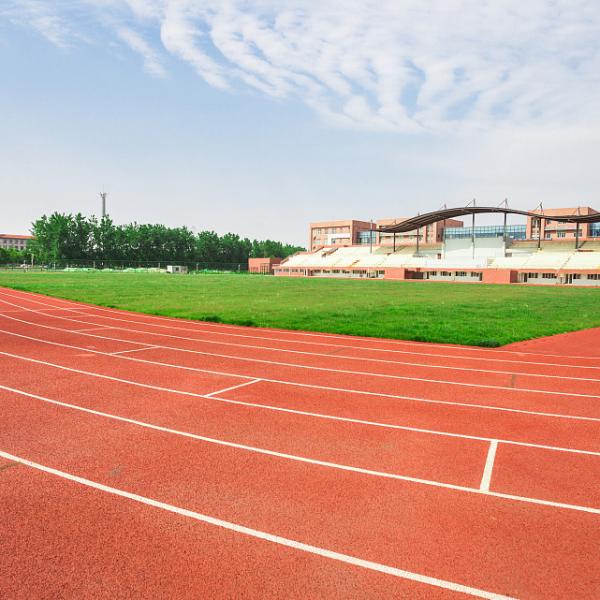 Quality Fire Resistant Sandwich System Running Track Moisture Proof playground wholesale