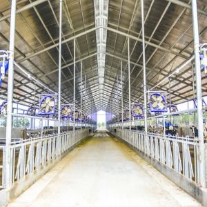 Steel Frame Prefabricated Goat Shed Q235B Q355B Steel Factory Shed