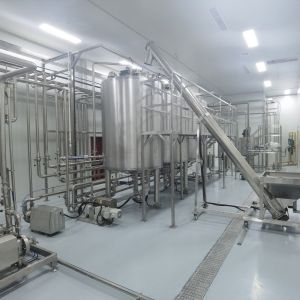 Multifunctional Peach Plum And Apricot Dried Fruit Processing Line Machine