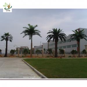 China UVG PTR009 20ft Artificial outdoor palm trees with fiberglass trunk for park decoration on sale