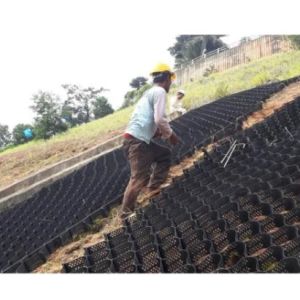Plastic Hdpe Green Gravel Stabiliser Grid Driveway Soil Reinforcement