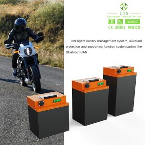 Cts Electric Vehicle Batteries With High Performance 48v 20ah Lithium Battery