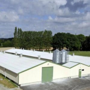 Automatic Prefab Steel Structure Chicken House Q235 Q345 Steel Frame Shed House