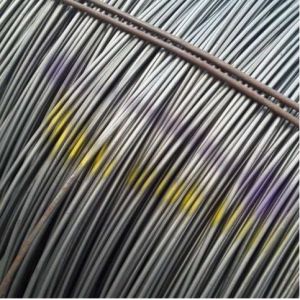 China ISO9001 Certified Steel Wire Rod for Free Cutting Steel Processing on sale