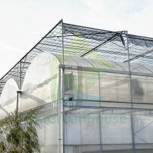 Multi-span Agricultural Poly Tunnel Plastic Greenhouse with Steel Tructure and