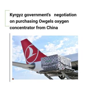 SGS Portable Oxygen Concentrator 5 Liters Per Minute OEM Service