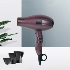 ROHS Ionic 2400W High Power Hair Dryer With Diffuser AC Motor One Step