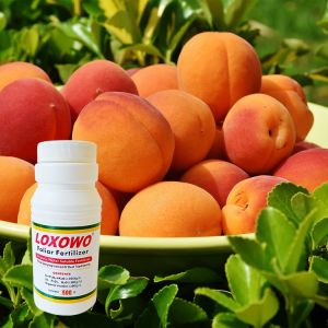 Liquid Organic Soluble Fertilizer Agricultural For Yield Increase