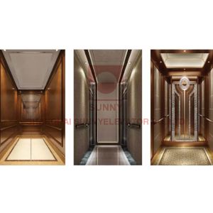 400kg 350mm Pit Residential Home Elevator With No Machine Room