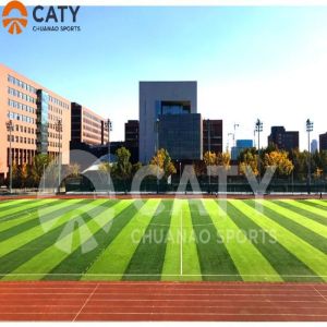 Durable & Flexible TPE Granules for Artificial Grass Infill- Excellent Weather