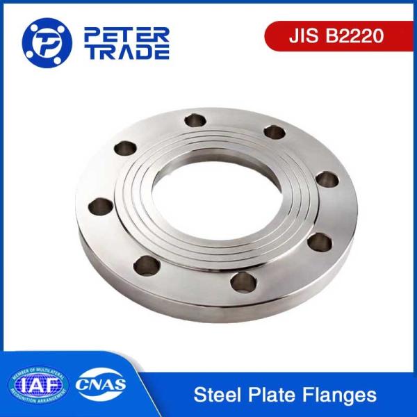 Quality Janpanese Standard JIS B2220 16K A105 Q235 A350 Carbon Steel/A182 F304 316 Stainless Steel Plate Flange PLRF PLFF wholesale