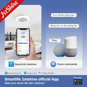 19 INCH/OEM LED Ceiling Fan with White Finish and RGB Atmosphere Light Hidden