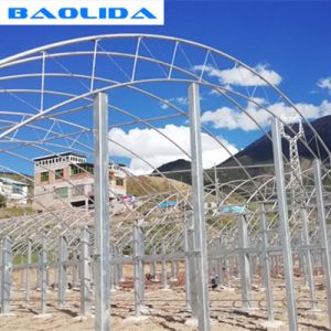 Large Steel Frame High Tunnel Double Film Double Arch 4.5m Multi Span Greenhouse