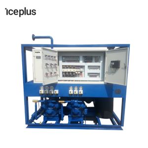 Safety Operate Tube Ice Making Machine Automatic Ice Transport Package System