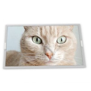 Cheap 6.2 inch LTPS TFT-LCD H623DAX01.0 online one-stop shopping rectangular screen lcd display new and original for sale