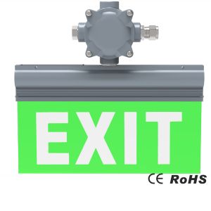 Over Voltage Protection IP54 LED Emergency Exit Light 50/60Hz Light Up Exit