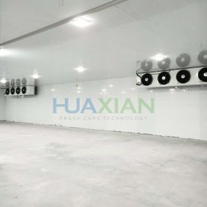 China 0 Celcius Walk in Freezer Chiller/Cool/Cold Storage Room Warehouse for Fresh Onion/Potato/Fruit/Vegetab on sale