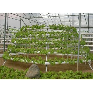 China Easy Maintenance Nutrient Film Technique System With Strong Adaptability on sale