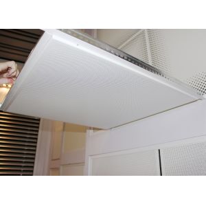 Lay In Metal Suspended Ceiling Tiles Suspended Installed With Tee Bar H32 X W14