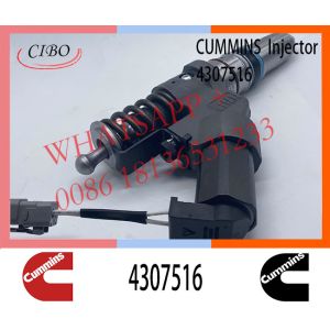 Diesel QSM11 ISM11 M11 Engine Fuel Injector 4307516 4061851