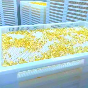 10000 Capsule Per Hour Automatic Vgel Encapsulation Machine