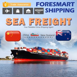 China SGS International Sea Freight Services , Sea Freight China To NZ on sale