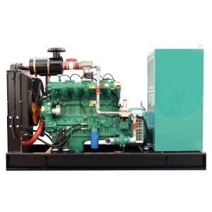 Micro CHP Unit Gas Generator with 108A Rated Current and IP23 Protection Class
